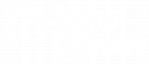 Logo Blue Swing Steam